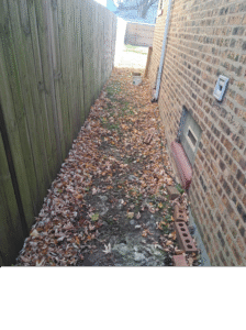 walkway with leaves and bricks